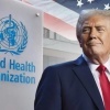 أمريكا تستعد للانسحاب من منظمة الصحة العالمية