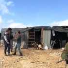 اعتداءات المستوطنين في مسافر يطا.. إتلاف 16 ألف دونم وسرقة ألف رأس من الأغنام والماعز