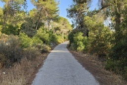 حالة الطقس: ارتفاع على درجات الحرارة