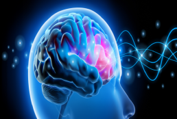 خطوات بسيطة قد تحمي الدماغ من التدهور مع التقدم بالعمر