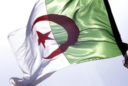 مشهد نادر.. قرش "تايغر" يهاجم سلحفاة بحرية جنوب محافظة البحر الأحمر في مصر
