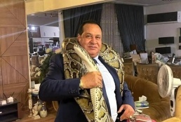 أشهر محام مصري يدافع عن نخنوخ