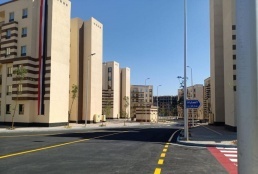 سكان مدينة مصرية يستيقظون على زوار غير مألوفين.. ثعالب تتجول بين العمارات