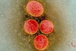 تحورات كورونا.. منظمة الصحة ترسم خريطة 4 فيروسات جديدة