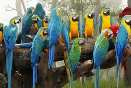 هل تتغير ألوان الكائنات بسبب تغير المناخ؟