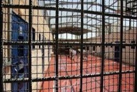 أسيران من جنين يدخلان عاميهما الـ20 في الأسر 