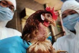 الصين تسجل أول إصابة بشرية بسلالةٍ جديدة لإنفلونزا الطيور