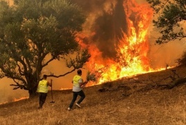 الجزائر تتهم مجموعة تقول إن لها صلات بالمغرب وإسرائيل بإشعال حرائق غابات