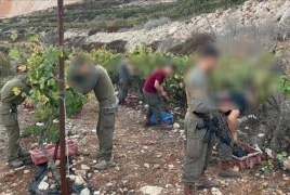 قناة "كان": جنود الاحتلال شاركوا المستوطنين بسرقة العنب من أراضي الضفة
