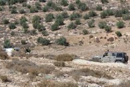 مستوطنون يدمرون العشرات من اشجار الزيتون جنوب الخليل