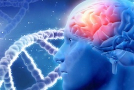 ضرر يصيب أدمغة الشباب غير قابل للعلاج فما السبب؟