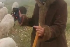 مستوطنون يدمرون مئات أشتال الزيتون ومحاصيل زراعية في بلدة الخضر جنوب بيت لحم