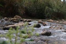 الاحتلال يصادر أكبر محمية طبيعية في الضفة