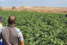 الاحتلال يطلق النار صوب الأراضي الزراعية جنوب القطاع