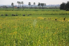 حالة الطقس: ارتفاع آخر على درجات الحرارة