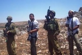 سرق مستعمرون  ثمار الزيتون في مسافر يطا