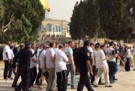  اقتحم 171 مستعمرا يقتحمون المسجد الأقصى