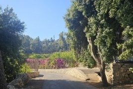 حالة الطقس: ارتفاعات متتالية على درجات الحرارة حتى نهاية الأسبوع