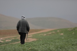 زحف استعماري يلتهم الأرض ويقوض سبل العيش الأغوار الشمالية.