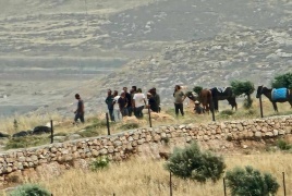مستعمرون يهاجمون رعاة الأغنام في مسافر يطا
