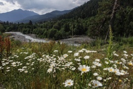 روسي عمره 92 عاما ينجو بأعجوبة من الموت بعد ضياعه في الغابة 3 أيام دون طعام وشراب