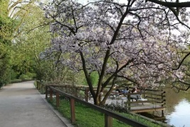 سرقة "زهرة الجثة" النادرة من حديقة نباتات في ألمانيا