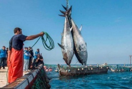 المغرب يوقع اتفاق صيد "متوازنا" مع روسيا