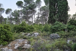 الطقس: انخفاض طفيف على درجات الحرارة