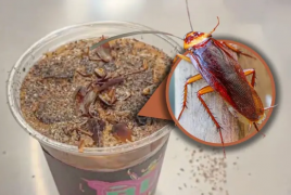 طعم غريب ورائحة لا تنسى.. قهوة الصراصير والنمل تكتسح الصين!