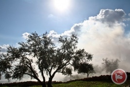 الطقس: فرصة ضعيفة لسقوط أمطار محلية في بعض المناطق الشمالية