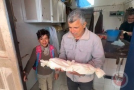 3 شهداء منذ الصباح بقصف اسرائيلي على خان يونس وغزة ووفيات بردا