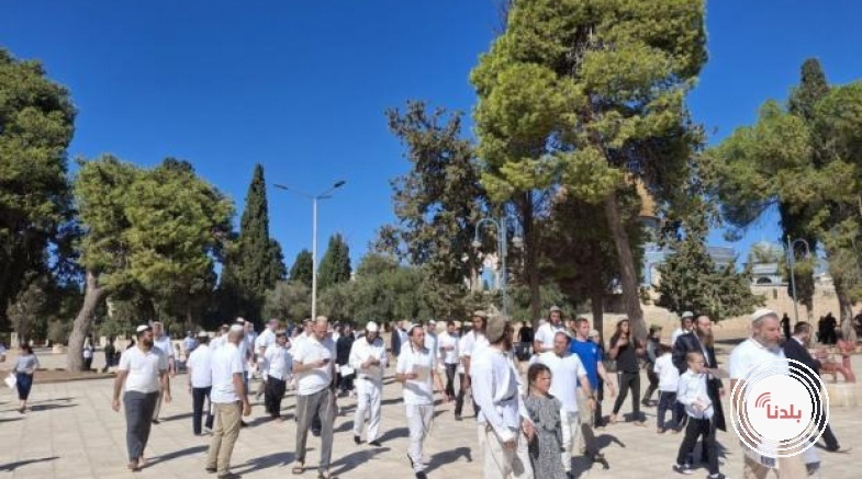 1271 مستوطنا يقتحمون الأقصى بينهم كاتس وبن غفير في ثالث أيام "عيد العرش"