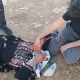 مستوطنون يعتدون على الفلسطينيين والمتضامنين الأجانب بالخليل