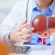 اكتشاف علاقة بين فقدان العضلات لدى كبار السن والإصابة بتليف الكبد
