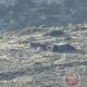 مستوطنون ينصبون خيمة على أراضي المواطنين شرق سلفيت
