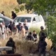 لليوم الثاني: مستوطنون يؤدون طقوساً تلمودية عند مدخل سنجل