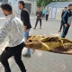 غزة.. 10 شهداء خلال 24 ساعة وقصف منزلين بخان يونس والمغازي