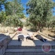 مستوطنون يقتحمون المسجد الأقصى ويؤدون السجود الملحمي