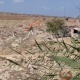 الاحتلال يواصل تجريف أراضي المواطنين في المنطقة الغربية من دير بلوط