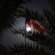 سجن سوري 7 سنوات وتغريمه 1.8 مليون دينار كويتي في قضية تزوير جنسية