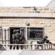الاحتلال يستولي على منازل في ضاحية اكتابا ويحولها لثكنات عسكرية