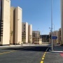 سكان مدينة مصرية يستيقظون على زوار غير مألوفين.. ثعالب تتجول بين العمارات
