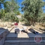 مستوطنون يقتحمون المسجد الأقصى ويؤدون السجود الملحمي