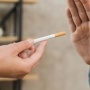 كيف تساعد البذور والمصاصات على الإقلاع عن التدخين؟