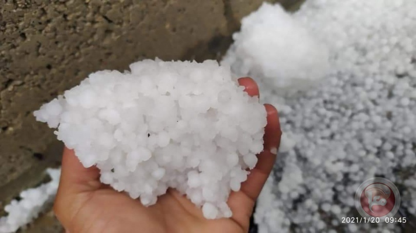 صور- اراضٍ تفترش بحبات البرد في غزة