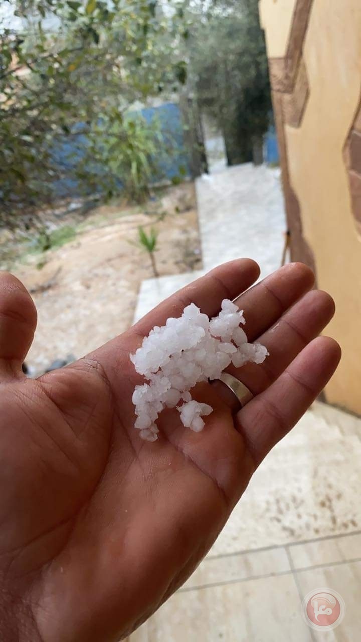 صور- اراضٍ تفترش بحبات البرد في غزة