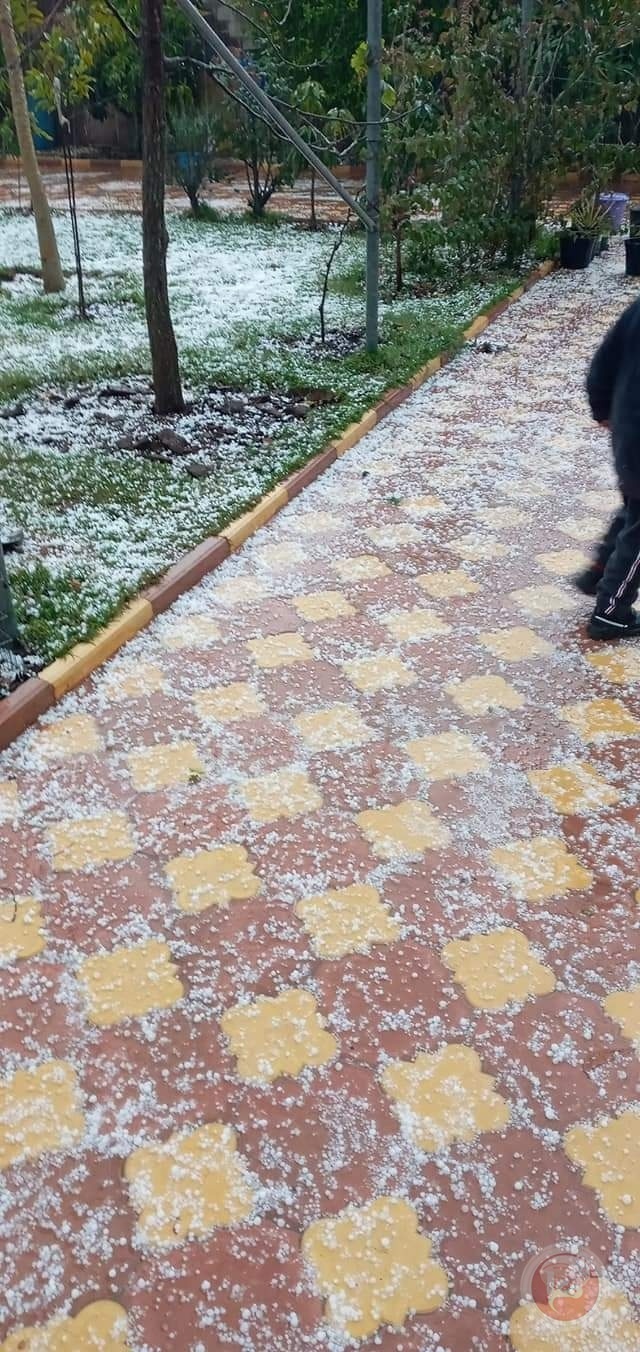 صور- اراضٍ تفترش بحبات البرد في غزة