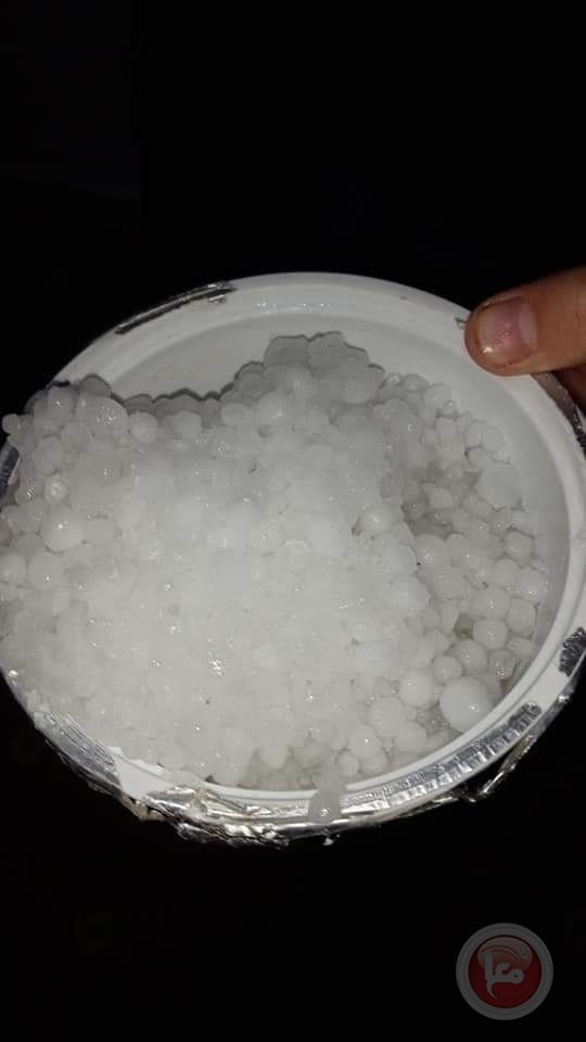 صور- اراضٍ تفترش بحبات البرد في غزة