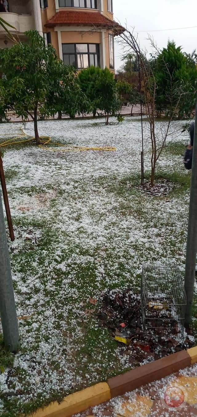 صور- اراضٍ تفترش بحبات البرد في غزة