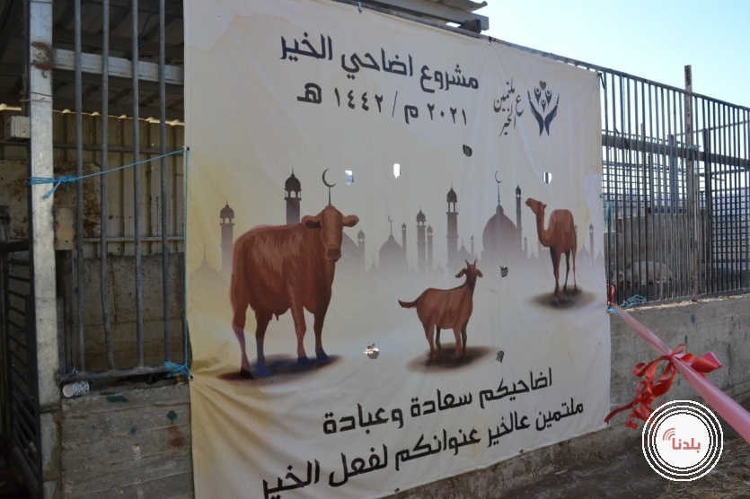 ملتمين عل الخير تفتتح مشروع اضاحي الخير​​​​​​​